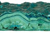 Teal Botryoidal Chrysocolla and Malachite - Chile #310122-1